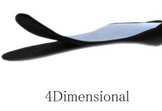 4D 板型
